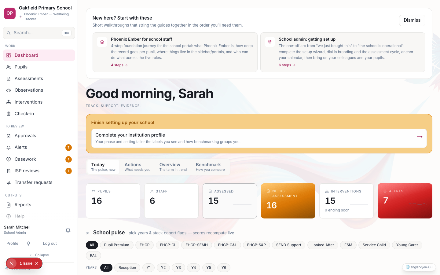 Phoenix Ember demonstration dashboard with key assessment and intervention indicators